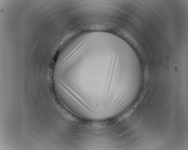 X0000061730305200512231441