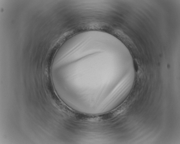 X0000061730306200512231441