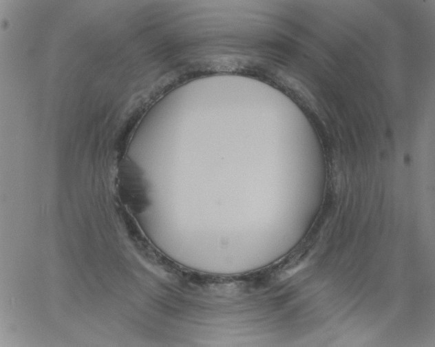 X0000061730307200512231441