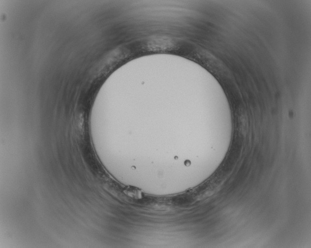 X0000061730308200512231441