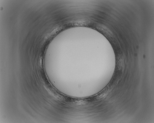 X0000061730310200512231441