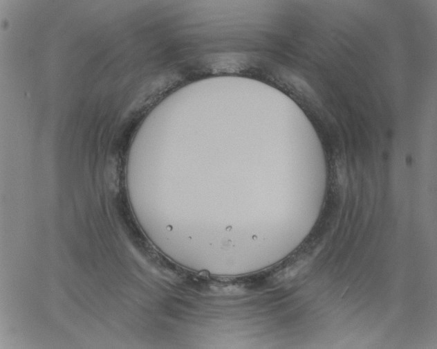 X0000061730311200512231441