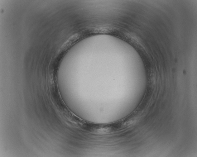 X0000061730312200512231441