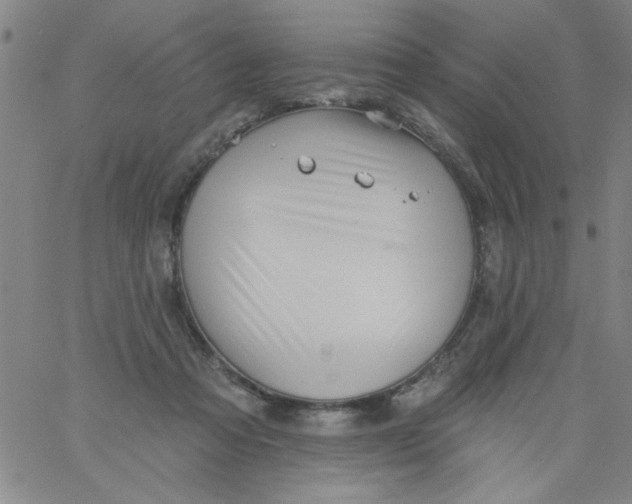 X0000061730313200512231441