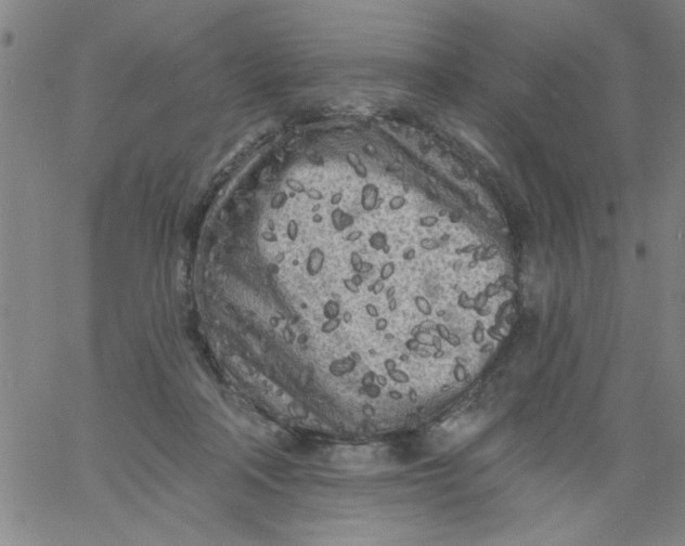 X0000061730314200512231441