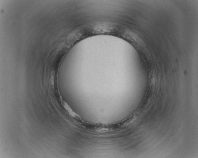 X0000061730315200512231441