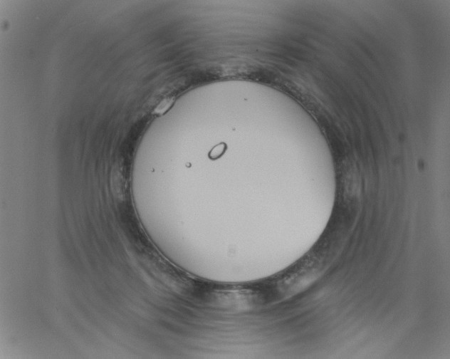 X0000061730316200512231441