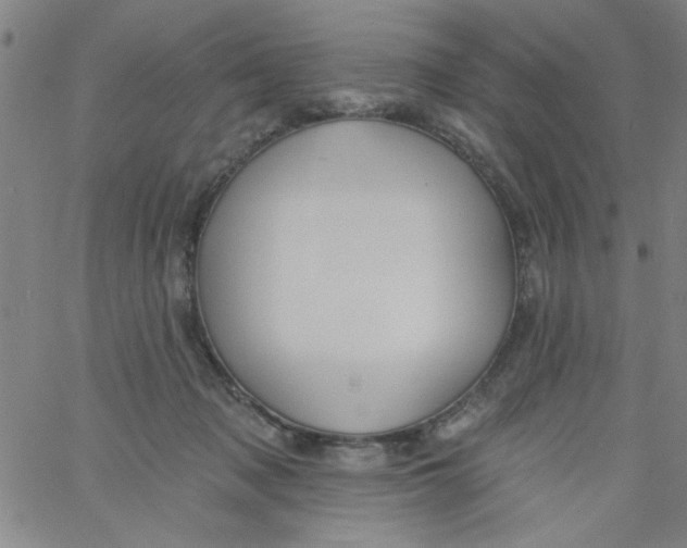 X0000061730317200512231441