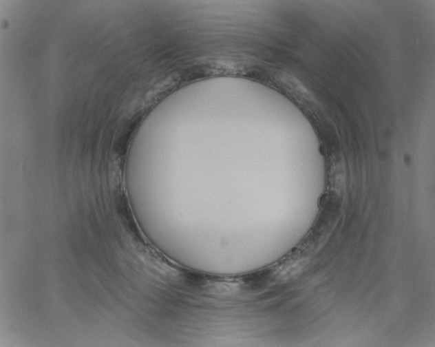 X0000061730318200512231441