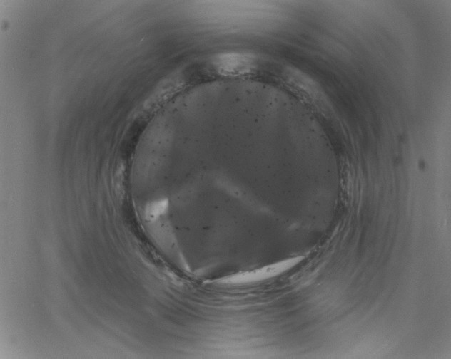 X0000061730319200512231441