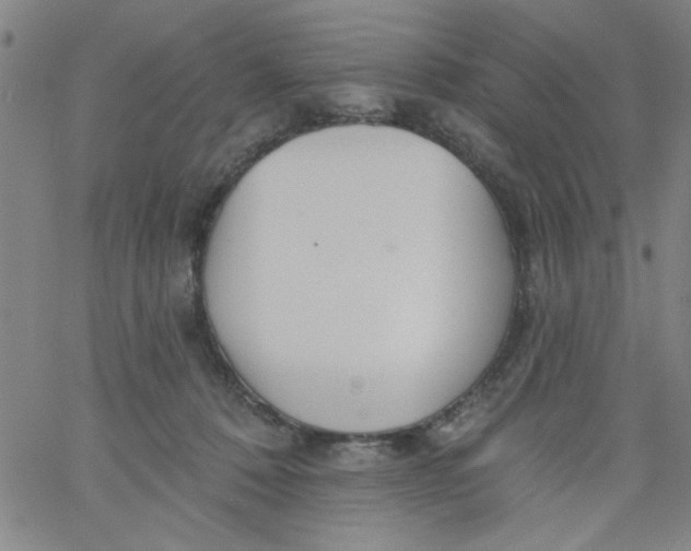 X0000061730320200512231441