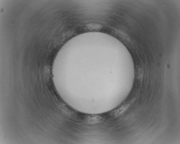 X0000061730321200512231441