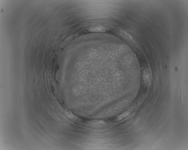 X0000061730322200512231441