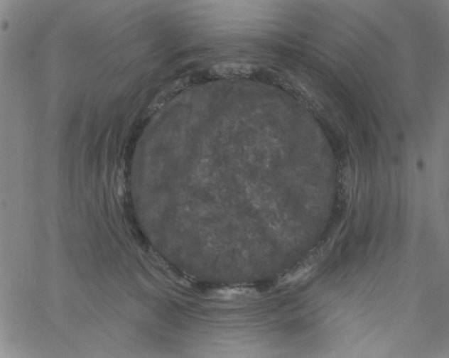 X0000061730323200512231441