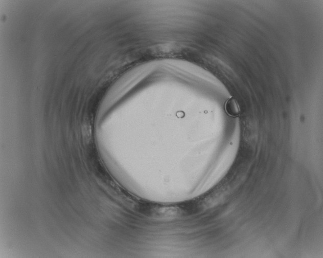 X0000061730324200512231441