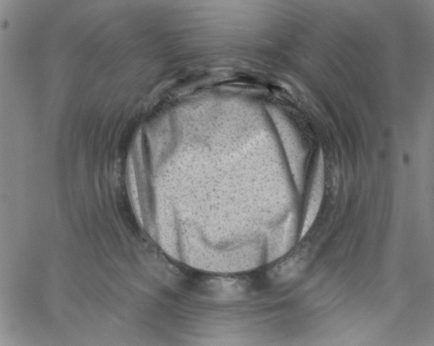 X0000061730326200512231441