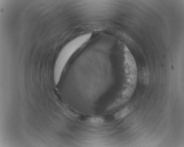 X0000061730327200512231441