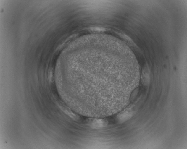 X0000061730330200512231441