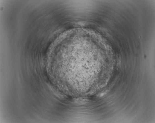 X0000061730331200512231441