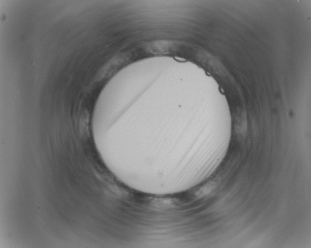 X0000061730332200512231441