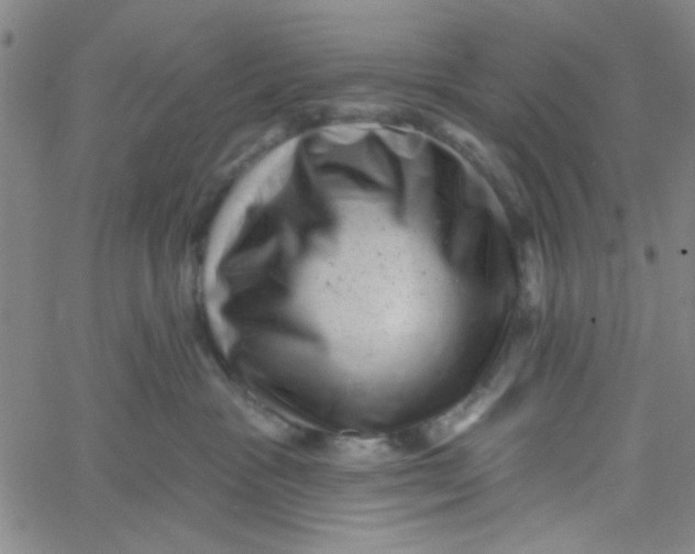 X0000061730333200512231441