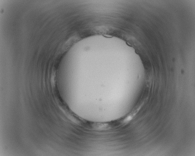 X0000061730334200512231441