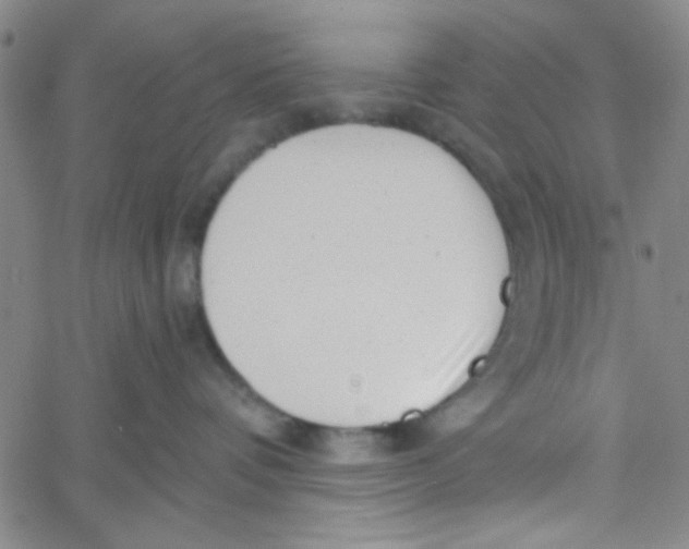 X0000061730336200512231441