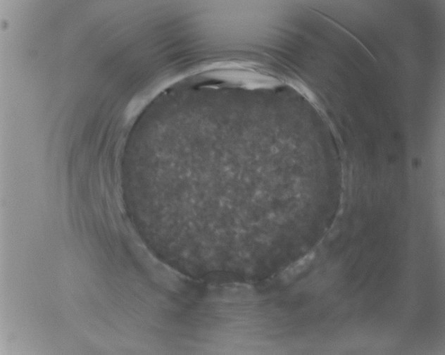 X0000061730337200512231440