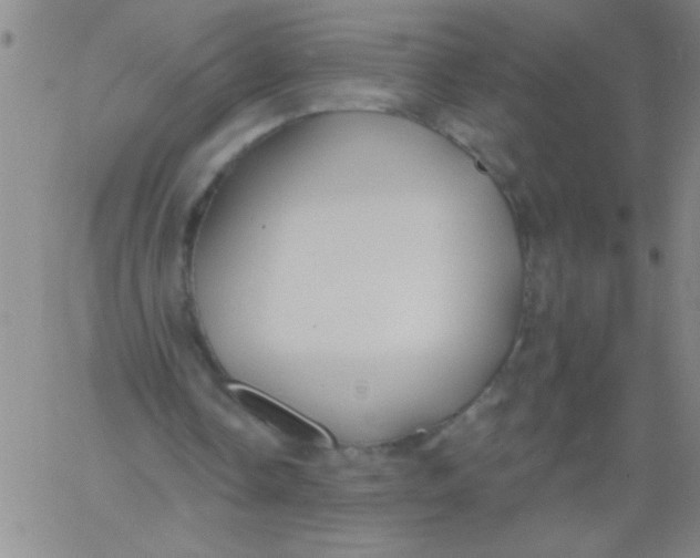 X0000061730338200512231440