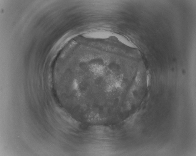 X0000061730339200512231440