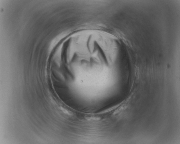 X0000061730340200512231440