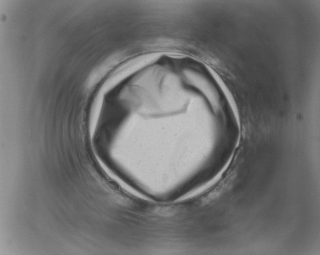 X0000061730341200512231440