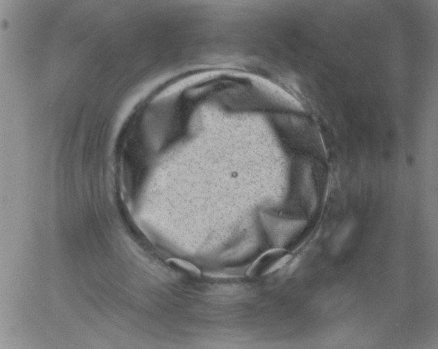 X0000061730342200512231440