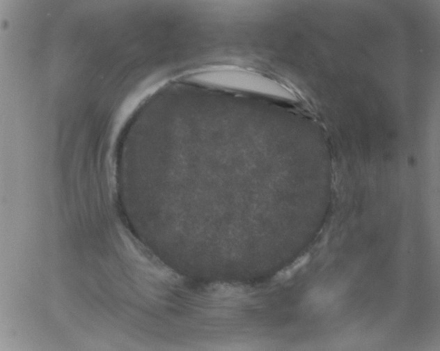 X0000061730343200512231440