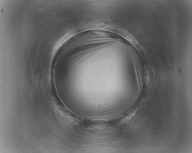 X0000061730344200512231440