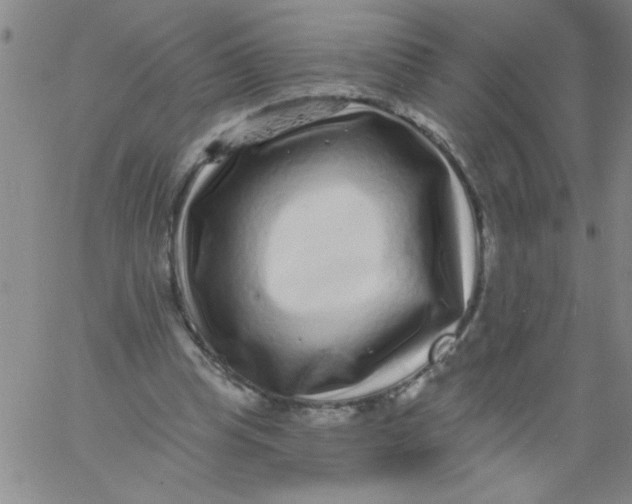 X0000061730345200512231440