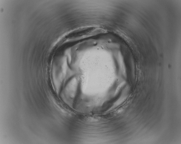 X0000061730346200512231440