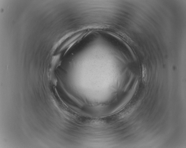 X0000061730348200512231440