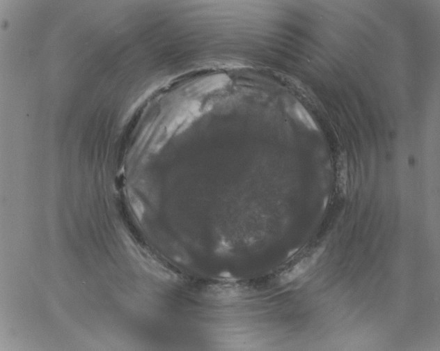 X0000061730351200512231440