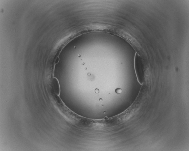 X0000061730352200512231440