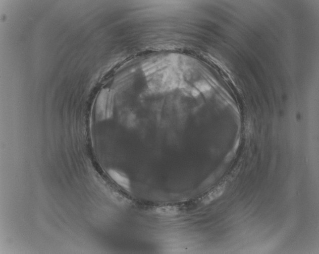 X0000061730353200512231440