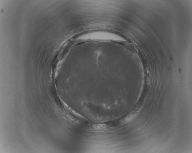 X0000061730355200512231440