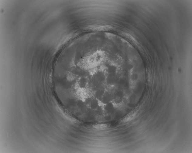 X0000061730357200512231440