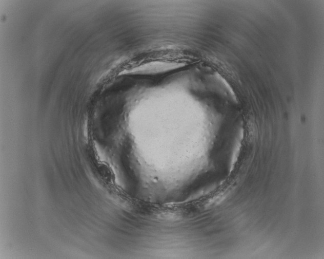 X0000061730358200512231440