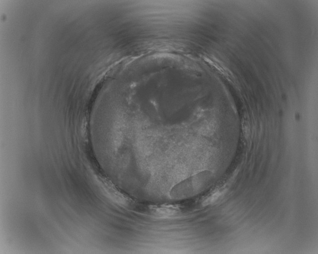 X0000061730359200512231440