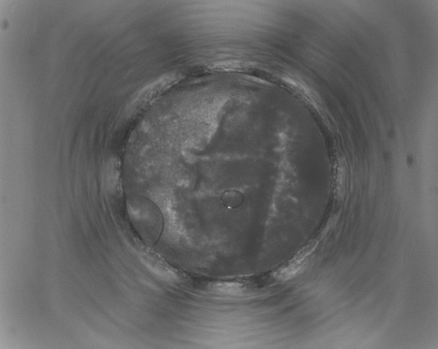 X0000061730361200512231440