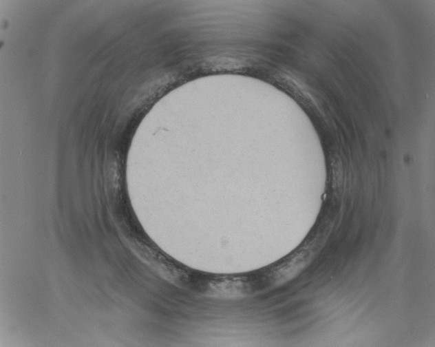 X0000061730362200512231440