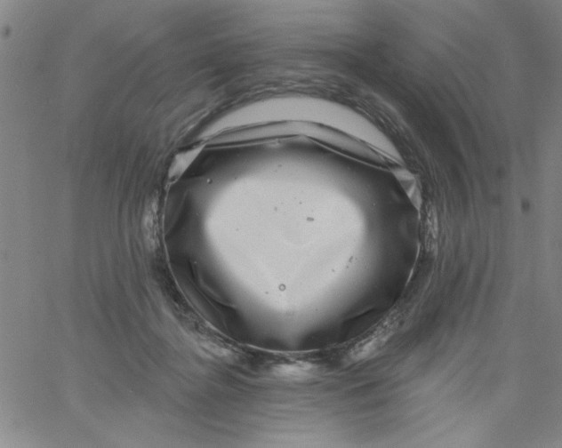 X0000061730364200512231440