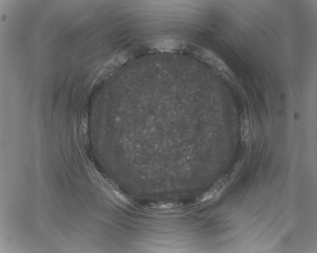 X0000061730365200512231440