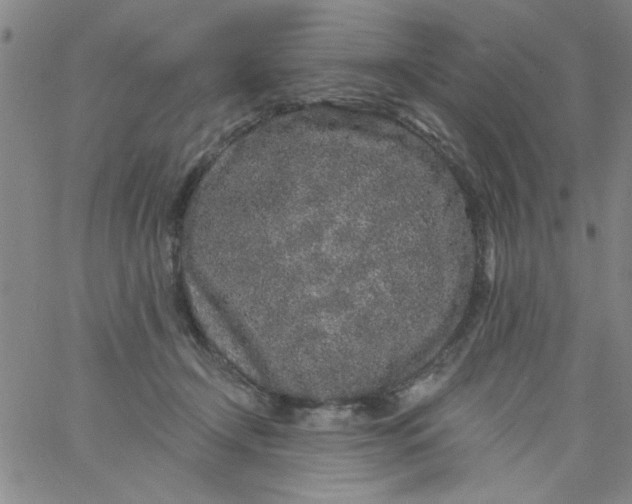 X0000061730366200512231440